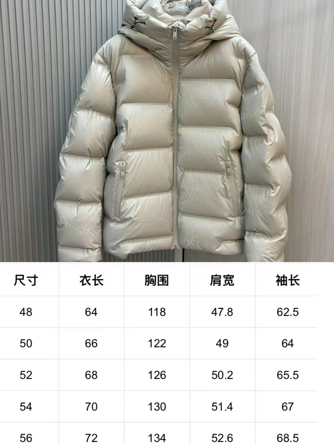 Prada Down Jackets